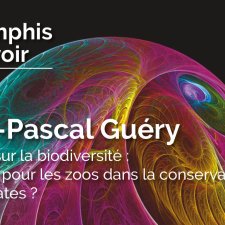 Jean-Pascal Guéry