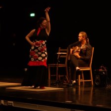 " Le Flamenco : une introduction "