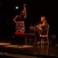 " Le Flamenco : une introduction "