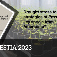 LIA FORESTIA 2023 - seminar#2