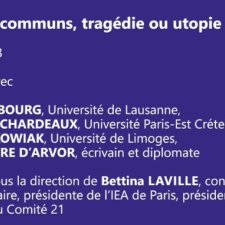 vignette Les Biens communs, tragédie ou utopie réaliste
