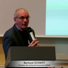 Bertrand Schmitt vignette