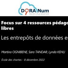 Focus sur 4 ressources pédagogiques libres : Les entrepôts de données en SHS