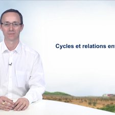 Cycles et relations entre acteurs