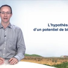 L'hypothèse d'un potentiel de bifurcation