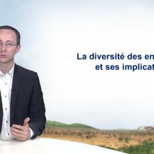 La diversité des entreprises et ses implications