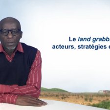 Le land grabbing : acteurs, stratégies et impacts