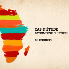 Cas d'étude patrimoine culturel immatériel : le Rooibos