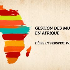 Gestion des musées en Afrique : Défis et perspectives