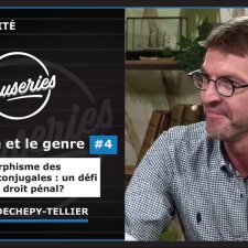 L'égalité et le genre 4 Polymorphisme des violences conjugales