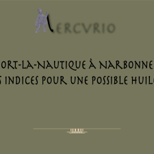 Vignette pour l'intervention de C. Sanchez