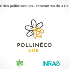 Pollineco