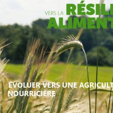 Quatrième épisode de la série documentaire: "Vers la résilience alimentaire", d'après le guide rédigé par Les Greniers d'Abondance.  Cet épisode expose deux des voies de résilience proposées par LGA: - ÉVOLUER VERS UNE AGRICULTURE  NOURRICIÈRE - MANGER PLUS VÉGÉTAL