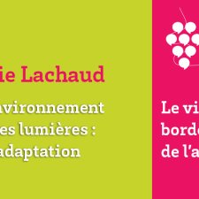 Vendanges en Ligne - Vigne et environnement au temps des lumières : risques et adaptation