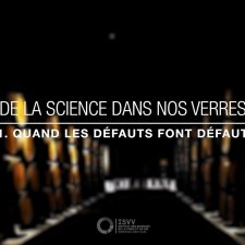 Quand Les Vins Font Défaut - De la Sciences dans vos verres - #1