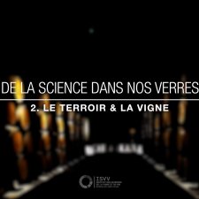 Le terroir et la vigne - De la science dans vos verres.#2