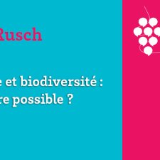 Les Vendanges du Savoir - Viticulture et biodiversité : un équilibre possible ? 