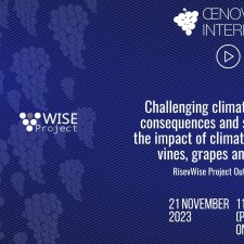 Mini Symposium | Challenging climate change: consequences and solutions to the impact of climatic change on vines, grapes and wines.