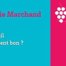 Les Vendanges du Savoir - Le vin est-il naturellement bon ?