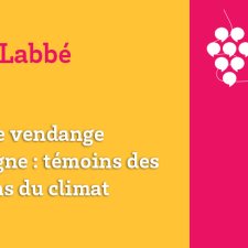 Les Vendanges du Savoir - Les bans de vendange en Bourgogne : témoins des fluctuations du climat