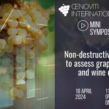 Mini Symposium - Non-destructive methods to assess grape ripening and wine quality