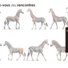 Fond d'écran Hybridation entre girafes et zébres