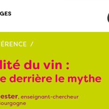 Les Vendanges du Savoir - La minéralité du vin : la science derrière le mythe