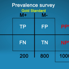 prevalence survey table