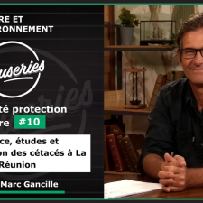 Biodiversité protection de la nature #10 - Globice, études et conservation des cétacés à La Réunion