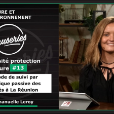 Les Causeries de l’Environnement et du Développement Durable - Biodiversité et protection de la nature #13 – Méthode de suivi par acoustique passive des cétacés à La Réunion
