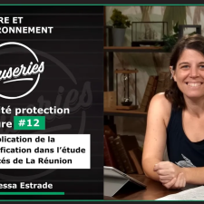 Les Causeries de l’Environnement et du Développement Durable - Biodiversité et protection de la nature #12 -  L'application de la photo-identification dans l'étude des cétacés à La Réunion