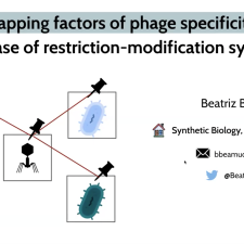Mapping factors of phage specificity: the case of restriction-modification systems