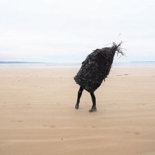 Crédit: C. Borne