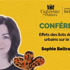 Sophie Beltran Bech_Effets des îlots de chaleur urbains sur le Vivant