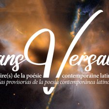 Colloque Transversales, vignette avec titre