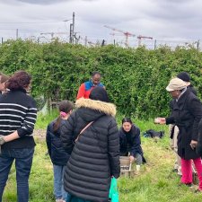 Les jardins partagés : des nouvelles manières de produire la ville