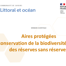 Aires protégées et conservation de la biodiversité marine