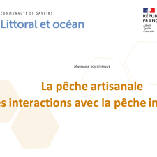 La pêche artisanale et ses interactions avec la pêche industrielle