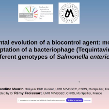 Experimental evolution of a biocontrol agent: monitoring the adaptation of a bacteriophage (Tequintavirus) to different genotypes of Salmonella enterica