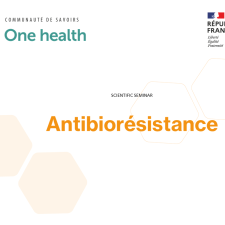 Antibiorésistance