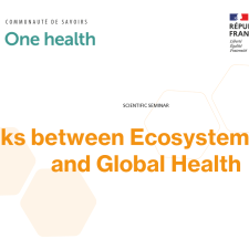 Links between Ecosystem Health and Global Health
