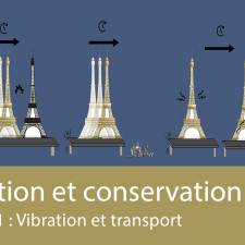 Vibration et conservation