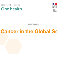Cancer in the Global South
