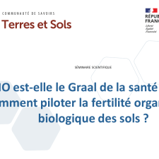 La MO est-elle le Graal de la santé des sols ? 