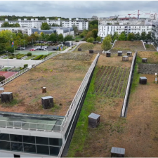 "Green wave" located on the campus of École des Ponts ParisTech © Imagine Creations