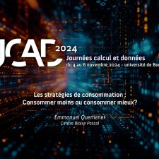 Les stratégies de consommation : consommer moins ou consommer mieux ?