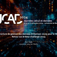 Infrastructure de gestion des données à l'horizon 2029 pour le HL-LHC : Retour sur le data challenge 2024