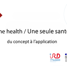 Une seule santé, une approche intégrée pour lutter contre les nouvelles menaces sanitaires