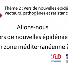 Allons-nous vers de nouvelles épidémies en zone méditerranéenne ?