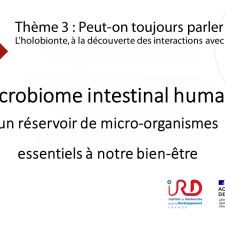 Le microbiome intestinal humain: un réservoir de micro-organismes essentiels à notre bien-être